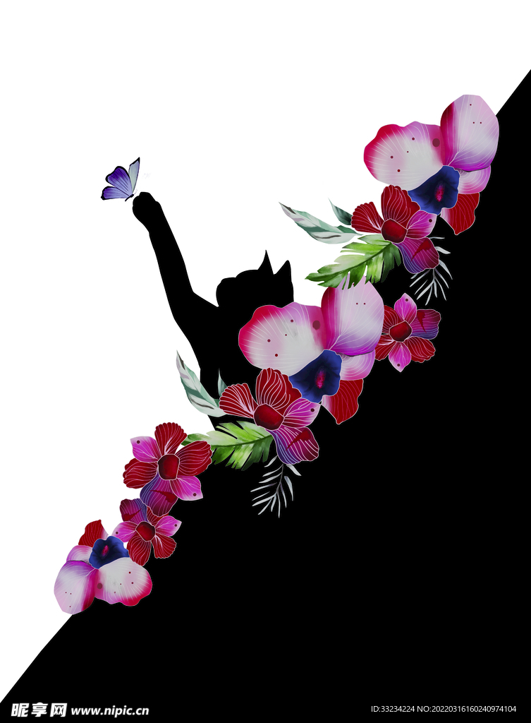 猫 蝴蝶