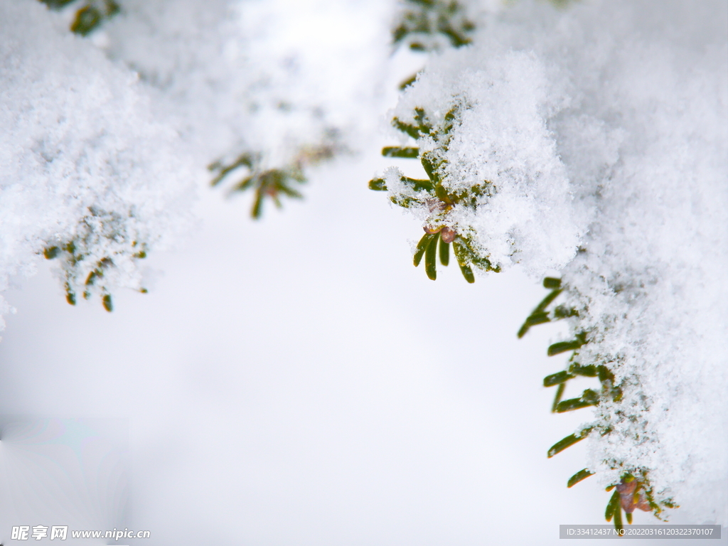 雪
