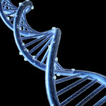 医疗科技 DNA螺旋体  生物
