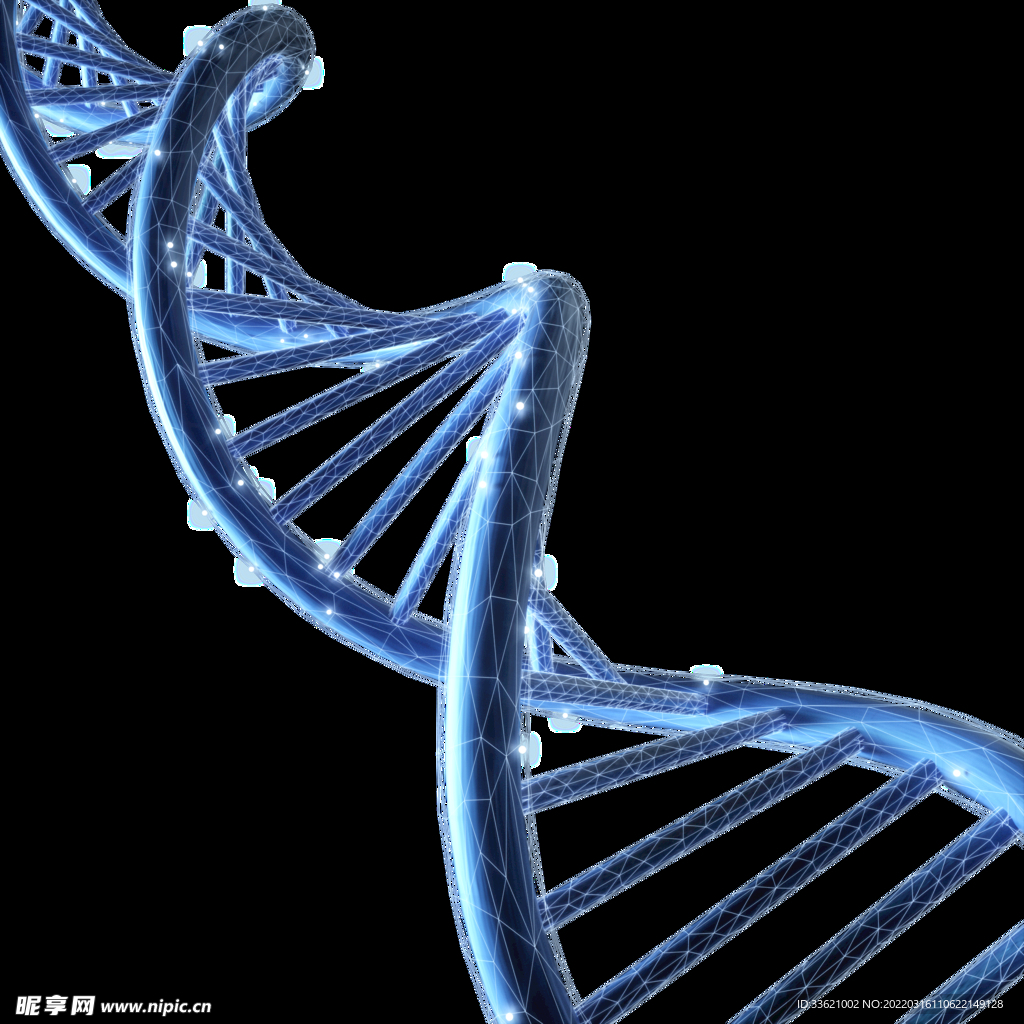 医疗科技 DNA螺旋体  生物