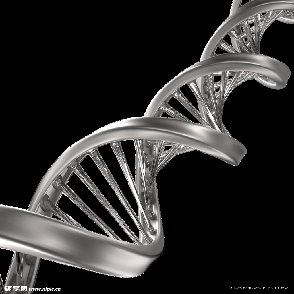 医疗科技 DNA螺旋体  生物