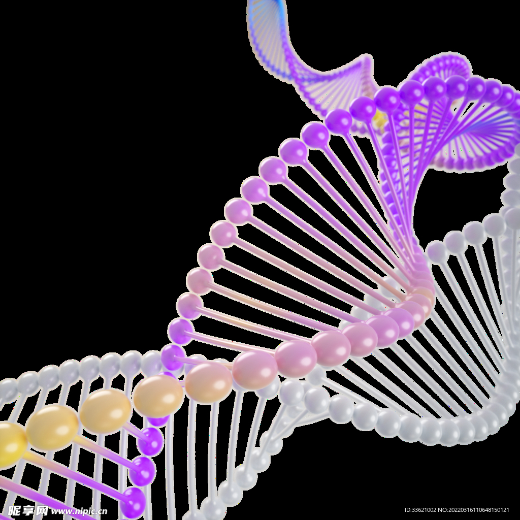 医疗科技 DNA螺旋体  生物