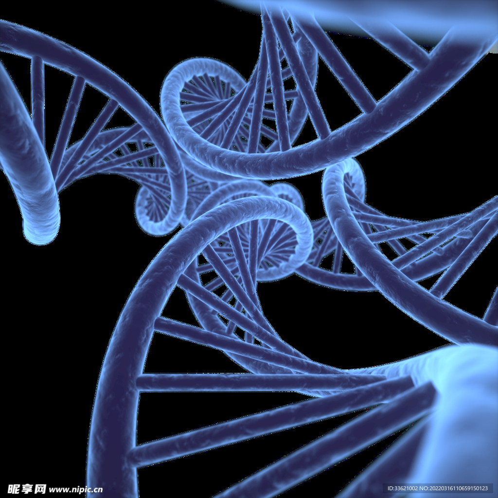 医疗科技 DNA螺旋体  生物