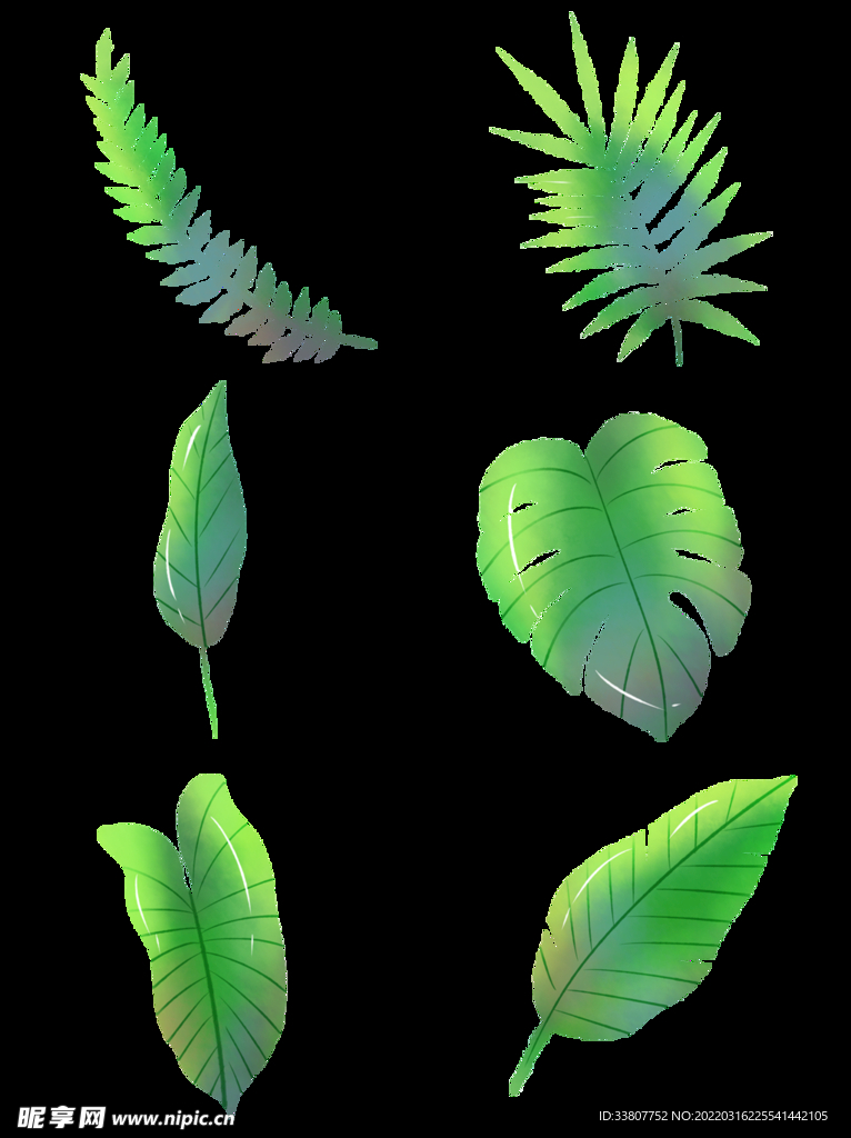 创意手绘热带植物树叶