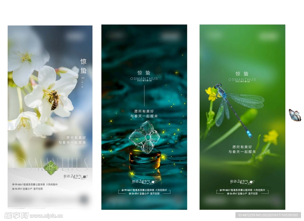 惊蛰 节气稿