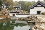 风景  中国风 青松 复古素材