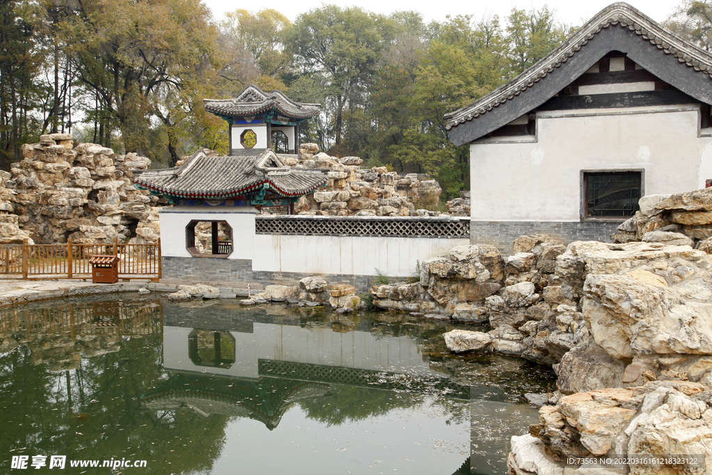 风景  中国风 青松 复古素材