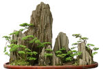 盘景 影楼素材 中国风 青松 