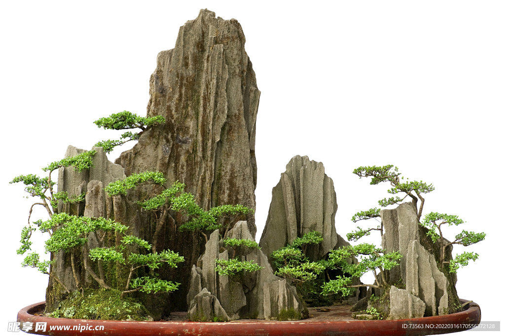 盘景 影楼素材 中国风 青松 