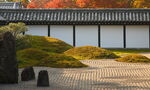 风景