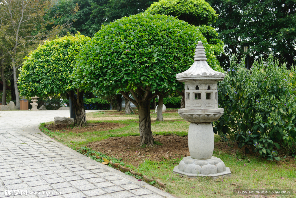 风景  中国风 青松 复古素材
