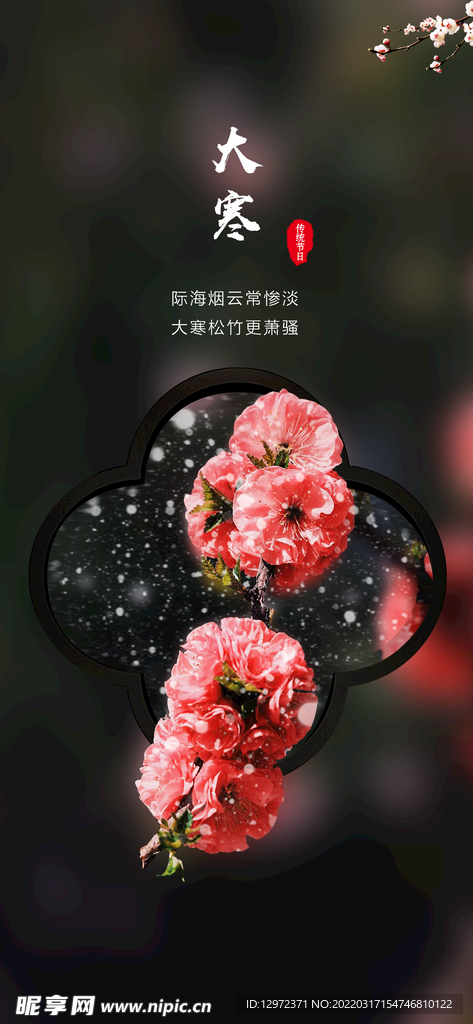 大寒海报
