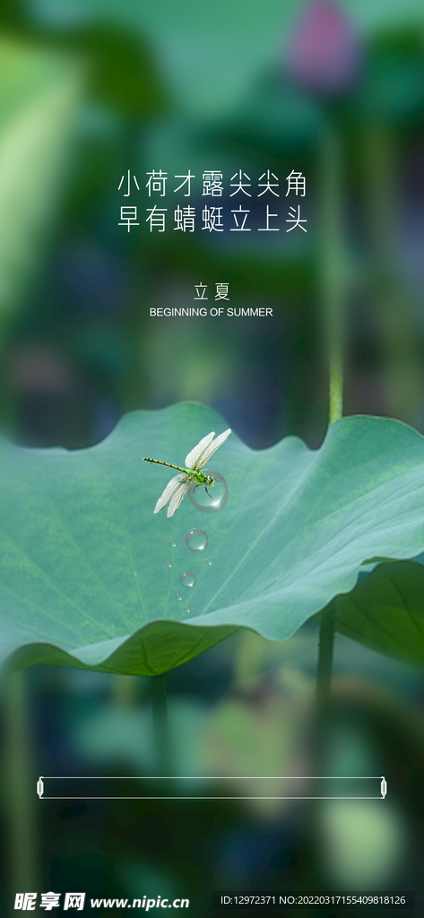立夏海报