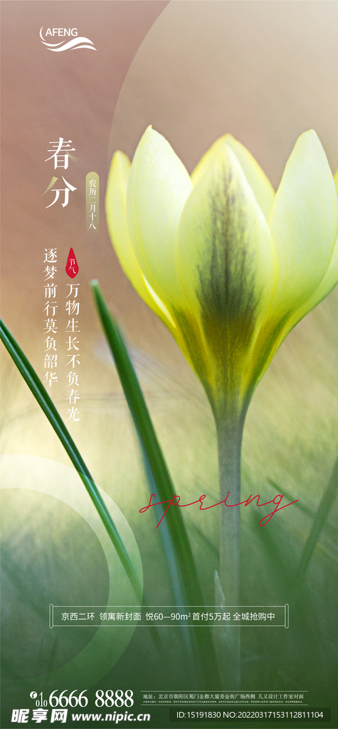 绿色春天春风节气海报