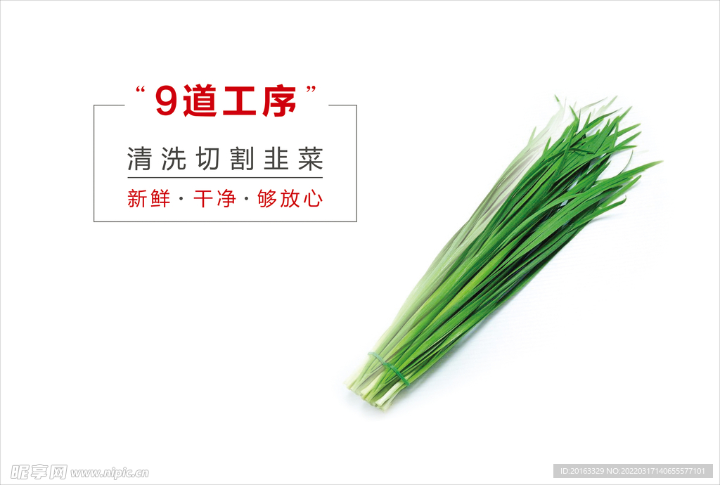 韭菜