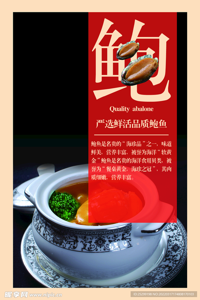 鲍鱼