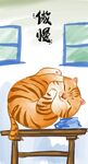 萌主猫            