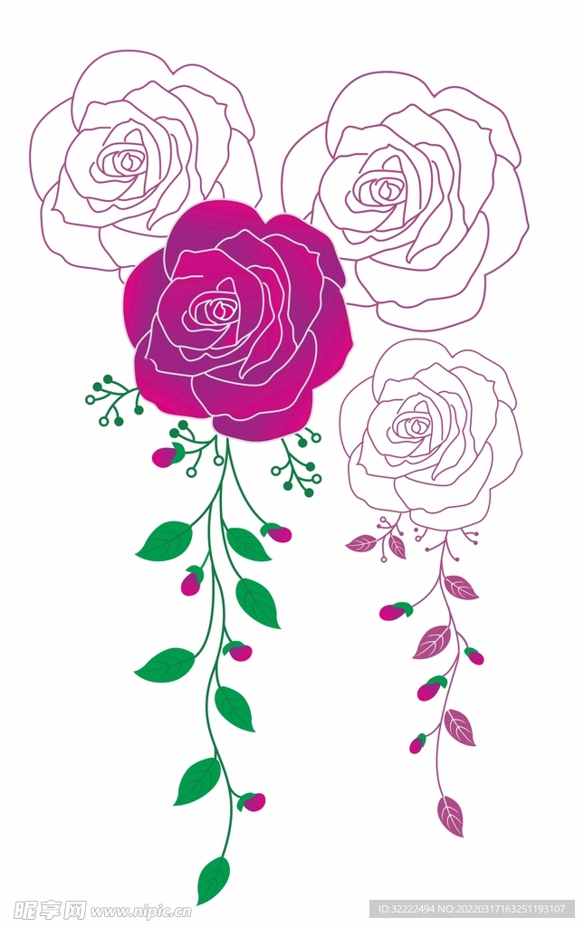 玫瑰花
