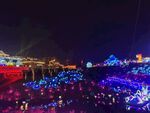 2022年自贡灯会