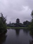桂湖公园