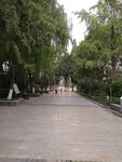 社区公园