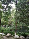 新都桂湖公园