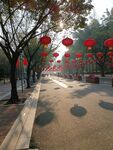 成都动物园
