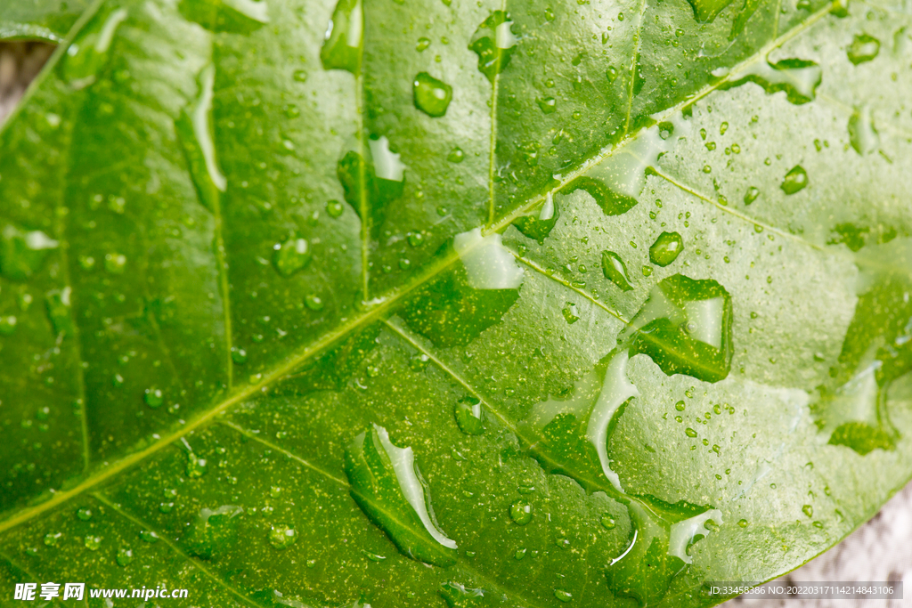 雨水谷雨