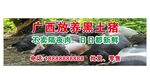 土猪猪肉生鲜