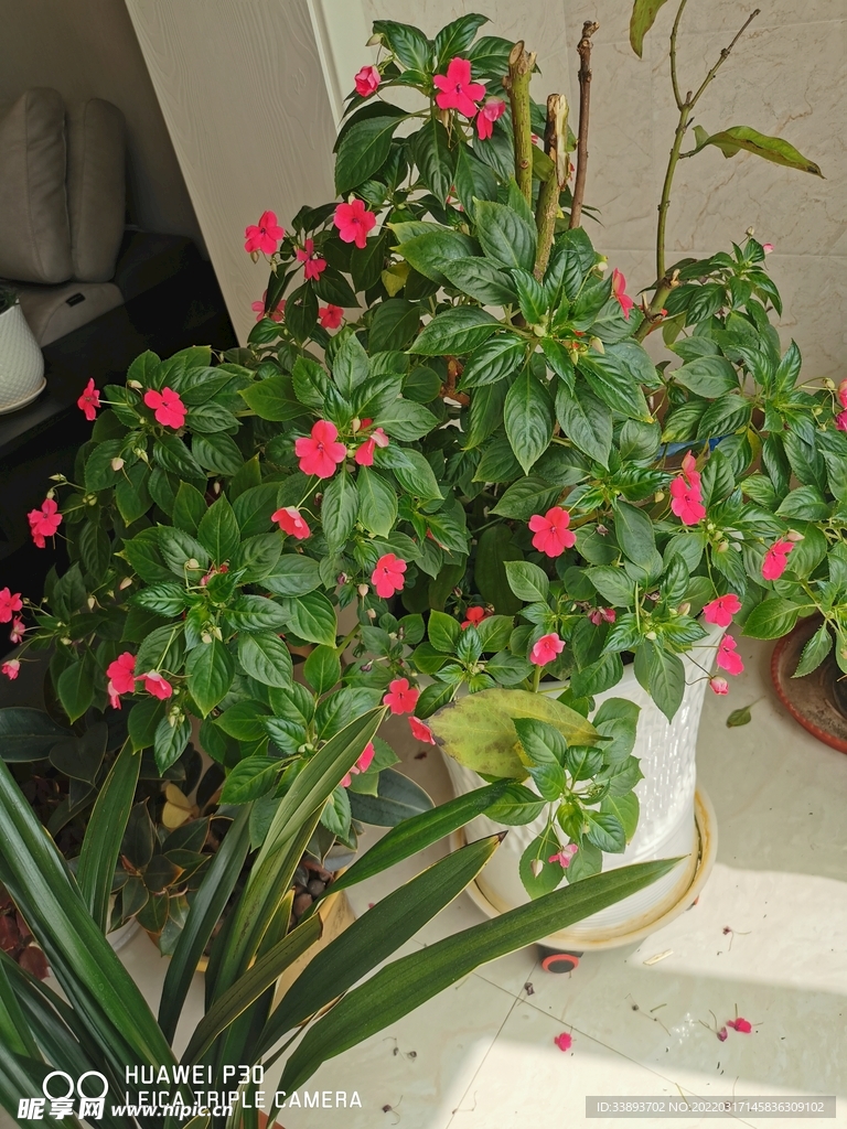 玻璃翠花