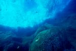 深海海底高清图片