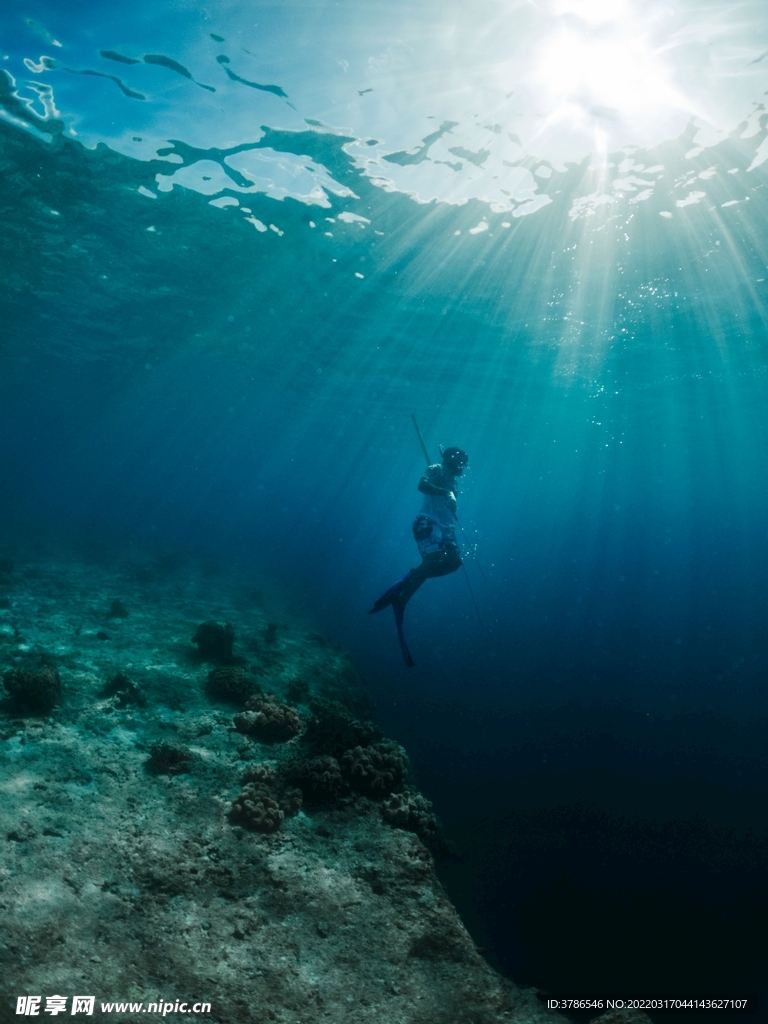 深海海底礁石潜水高清图片