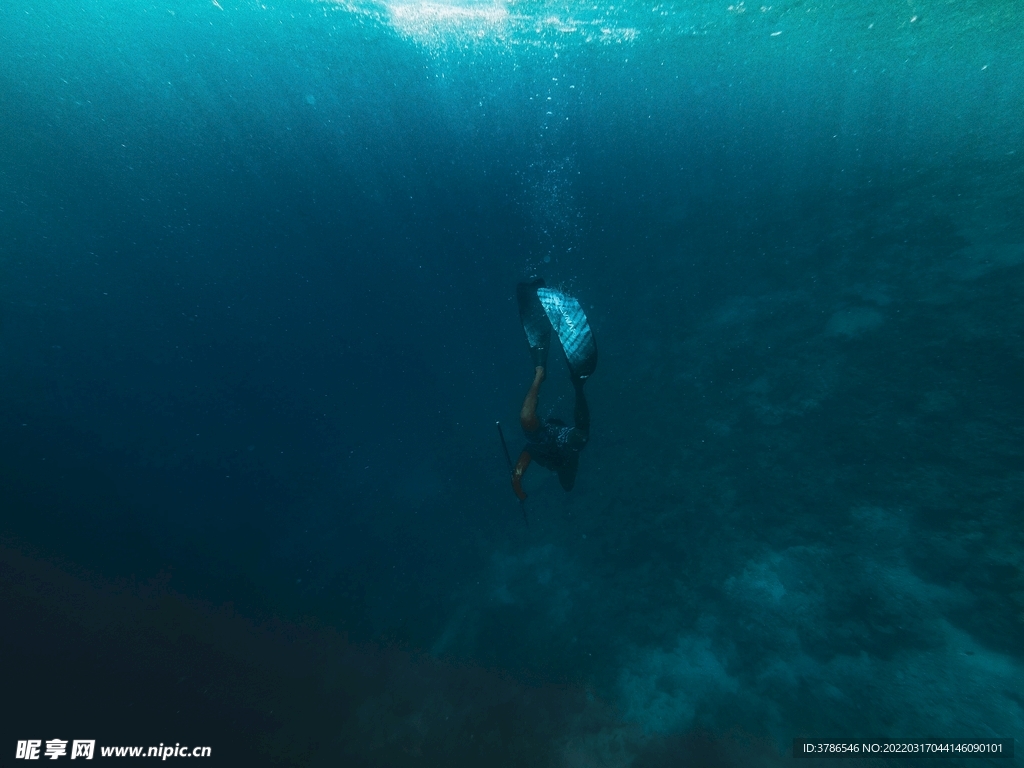 深海海沟礁石潜水高清图片