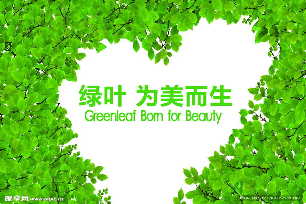 绿叶背景