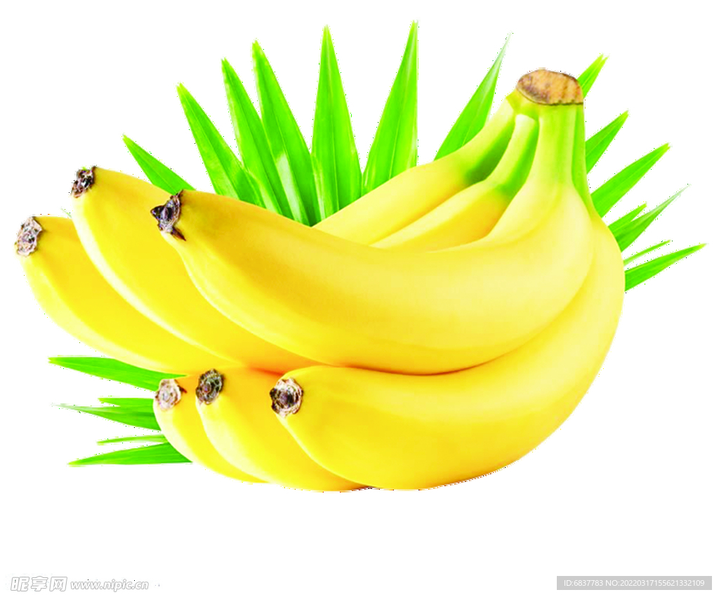 香蕉