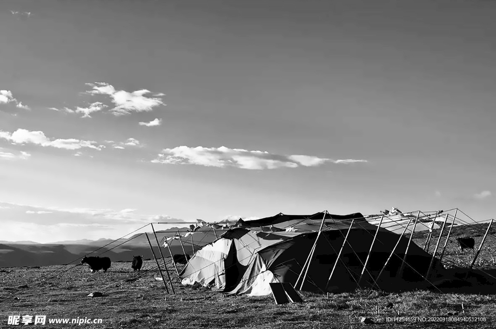 藏区古代帐篷