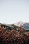 山