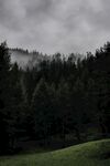 山