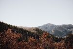 山
