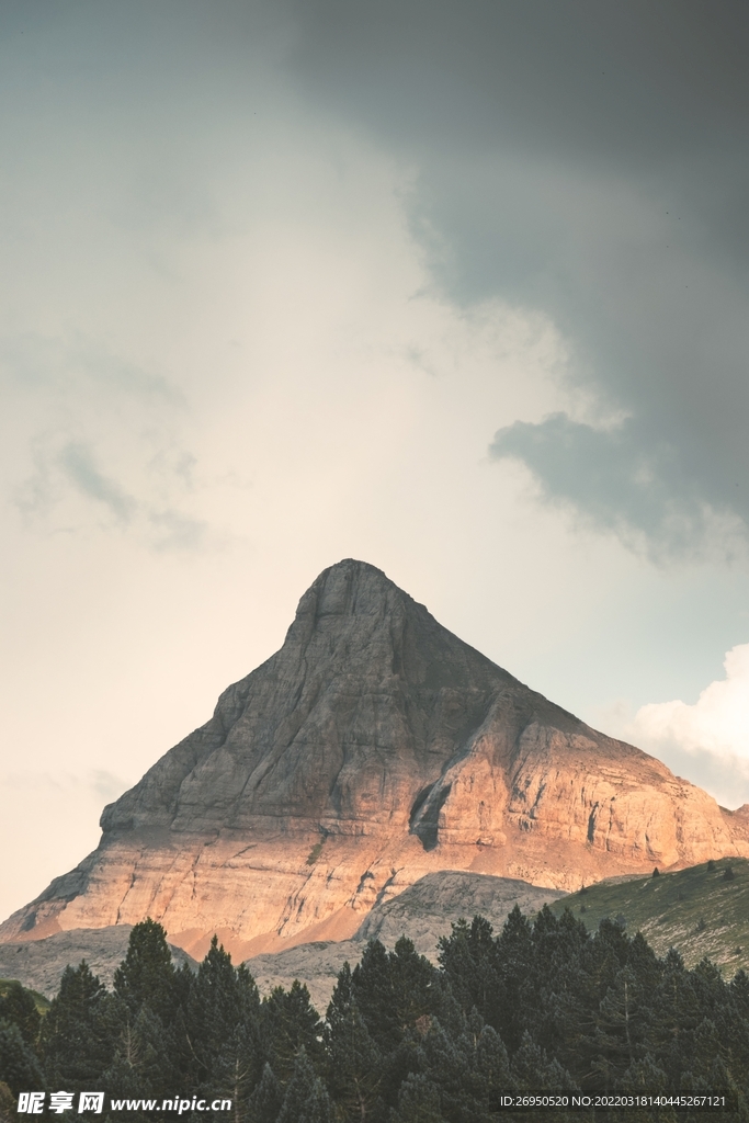 山