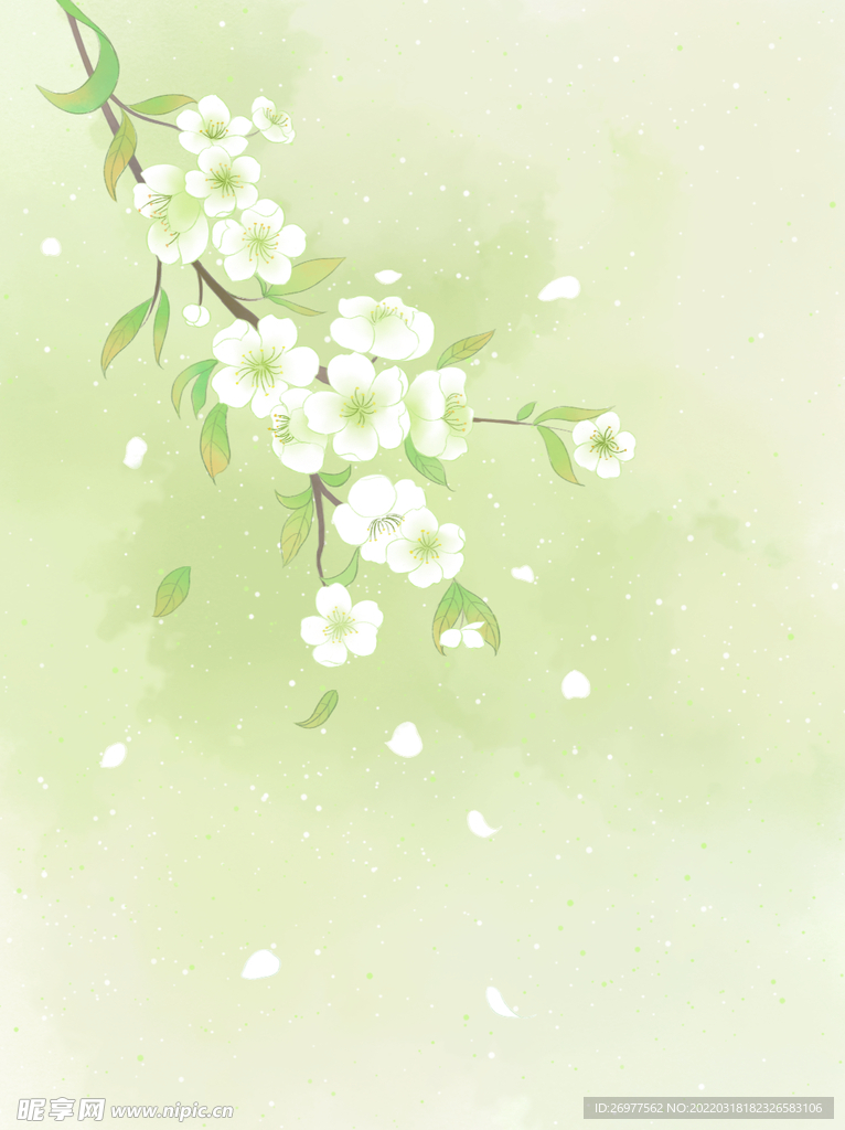  梨花背景