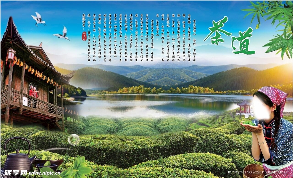 茶背景