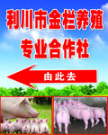 养殖专业合作社