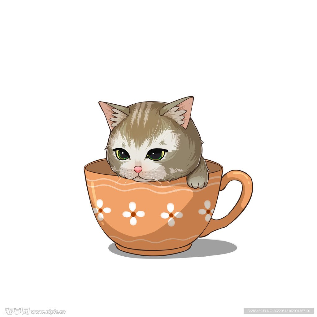 茶杯猫            