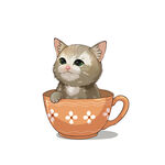 茶杯猫            