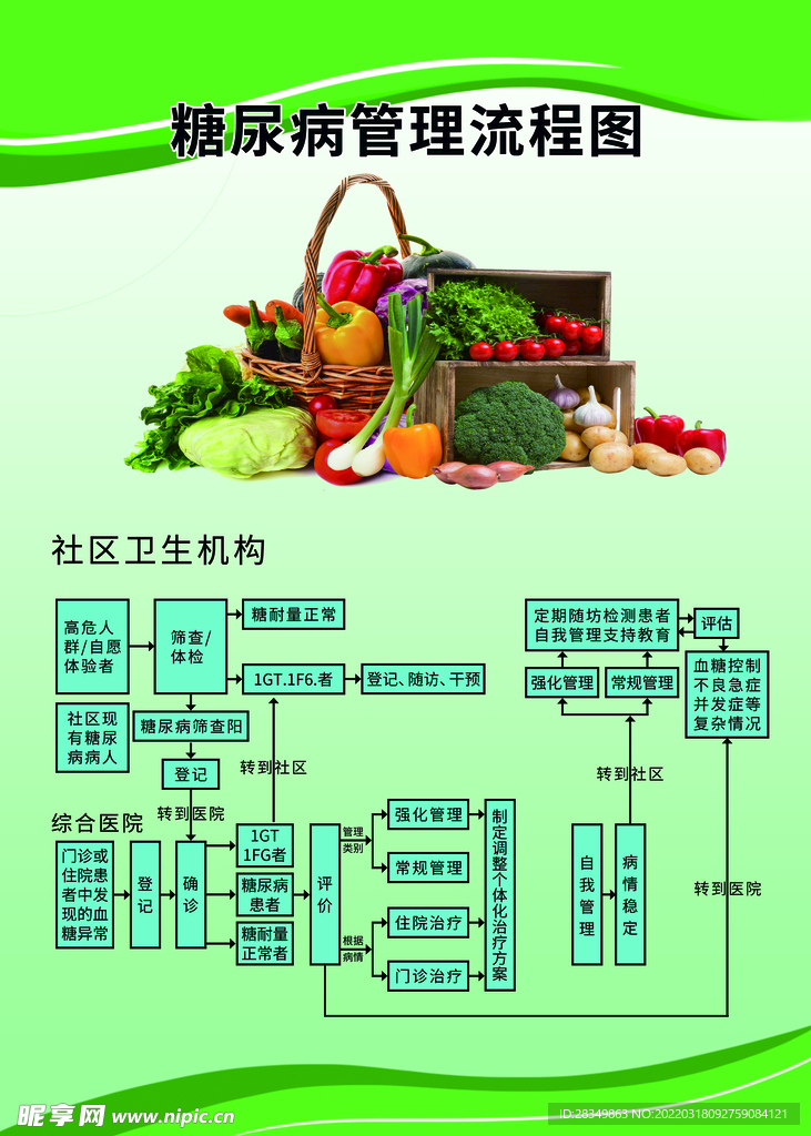 糖尿病管理流程图