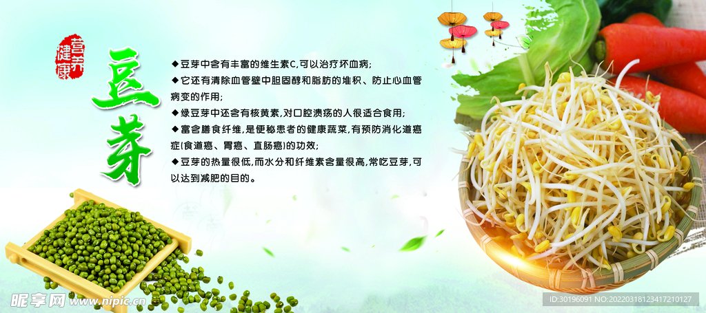 豆芽