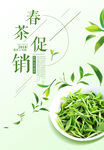 春茶