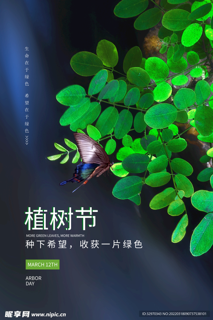 植树节3.12