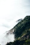 山